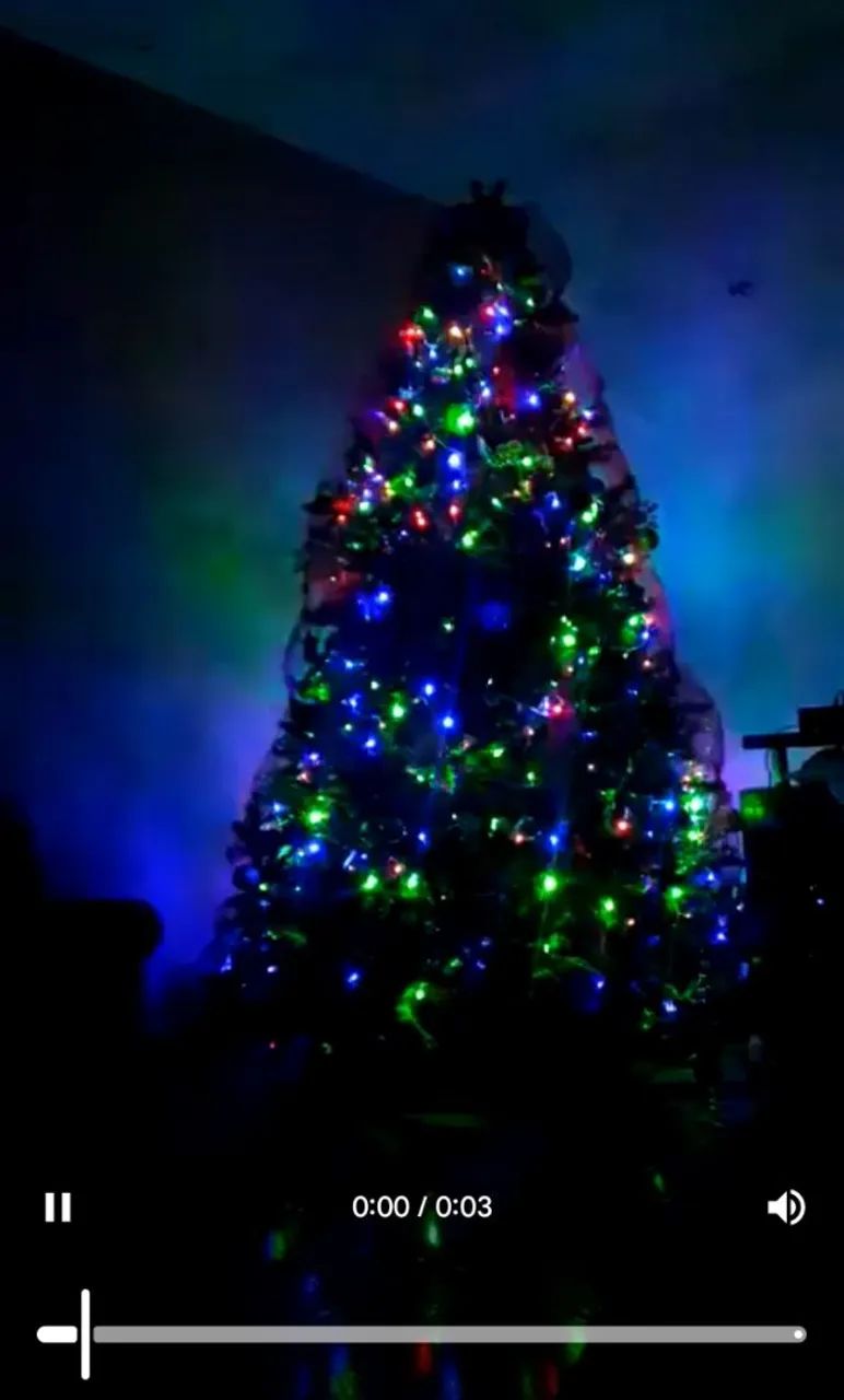 Árvore de natal 