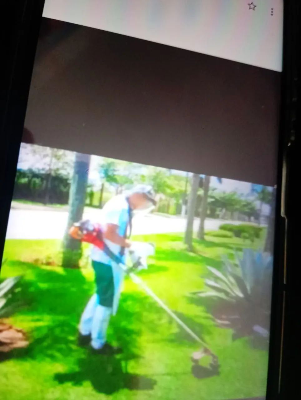 Serviço de jardim de podar de árvore ? * - Foto 2