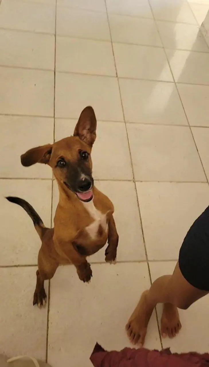 Doação 