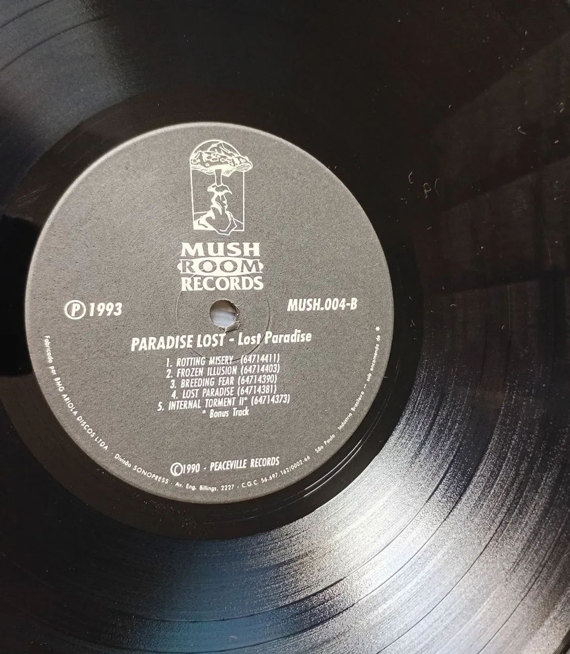 LP PARADISE LOST Lost Paradise 1993 Com Encarte  - Foto 4