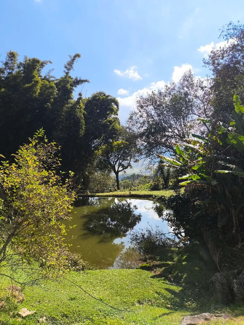 Na Serra da Mantiqueira  - Foto 4