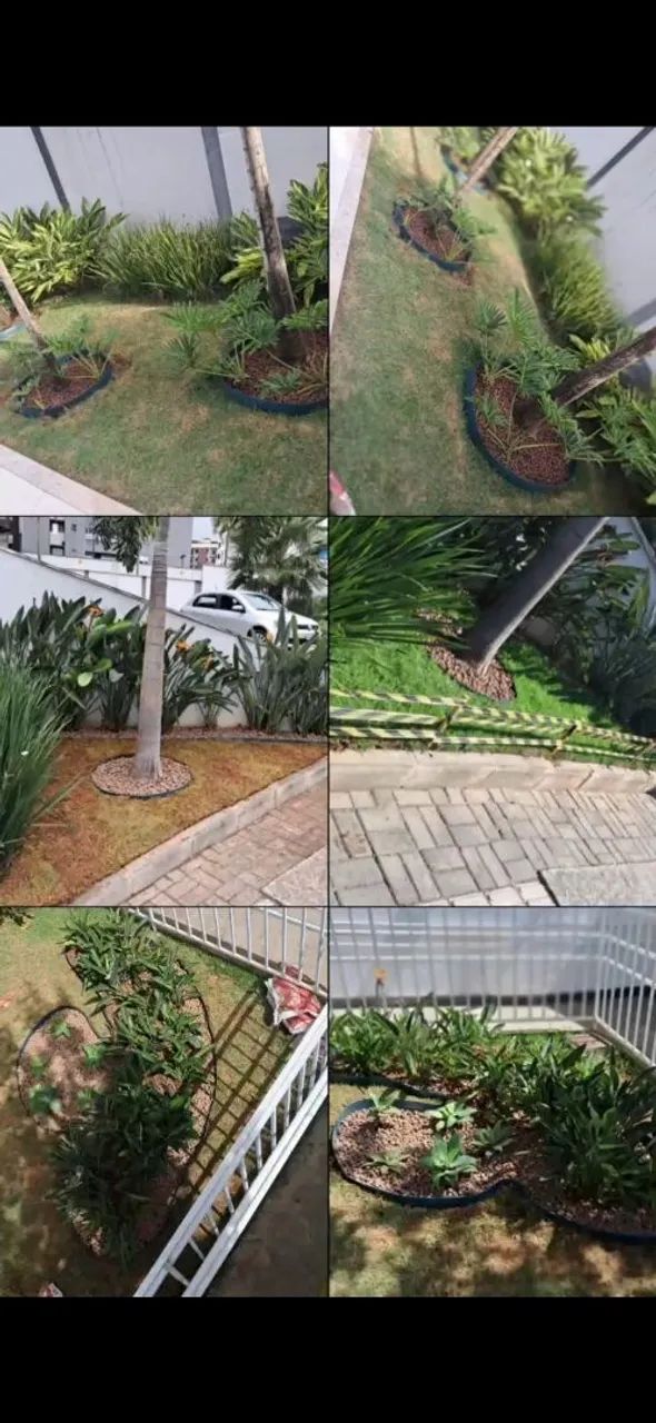 ? SERVIÇOS DE JARDINAGEM E MANUTENÇÃO ? - Foto 3