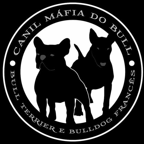 Bull Terrier [kennel Mafia do Bull