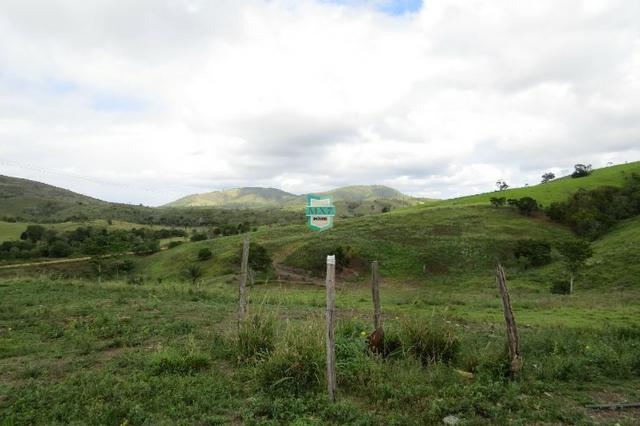 Fazenda Pecuária no Gongogi de 1.100 Hectares. Melhor custo beneficio - Foto 7