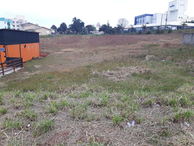 Terreno na Frente da Unochapecó - Foto 2