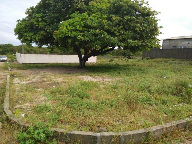 Terreno - Foto 3