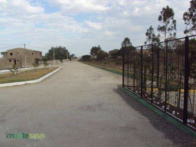 Terreno à venda, 345 m² por R$ 45.000 - Novo Heliópolis - Garanhuns/PE - Foto 7