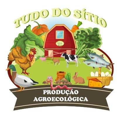 Ovos Galinha Caipira 8,50 duzia - Foto 3
