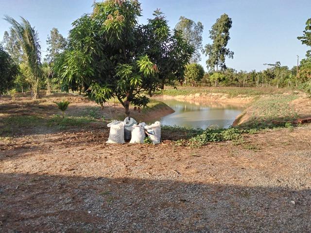 Sítio em Bacabeira - Foto 8