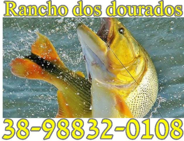 Rancho dos Dourados na adea dos dourados - Foto 5