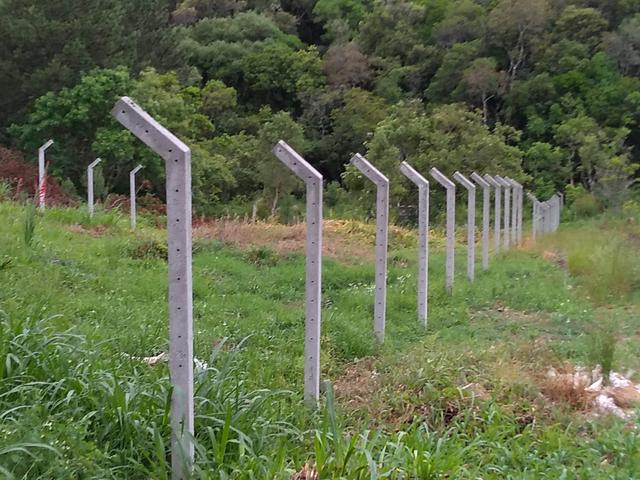 Chácara em fazenda Rio grande - Foto 2