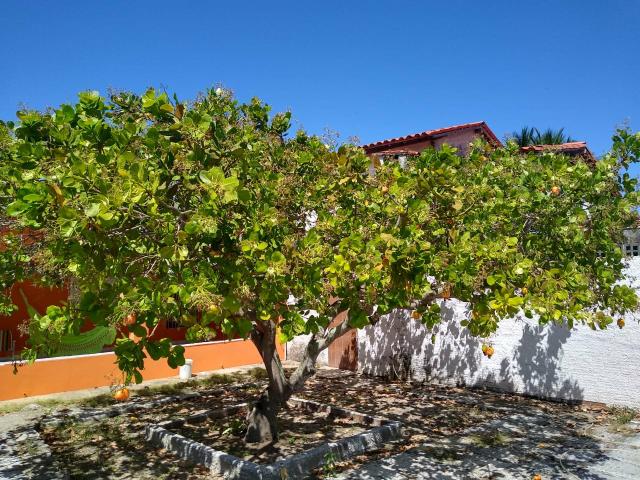 Casa em Itamaracá com Piscina e churrasqueira para festas de fim de ano,ou moradia - Foto 3