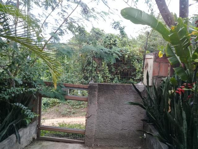 Pequeno sítio de 720 m2, todo plantado em Itambi - Foto 18