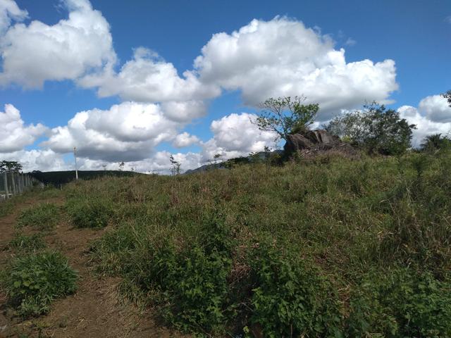 Terreno 10.000m2 - Foto 6