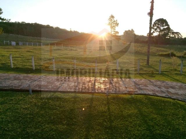 Haras para Venda, Tijucas do Sul / PR, bairro Pinhal, 8 dormitórios, 8 suítes, 1 banheiro - Foto 18