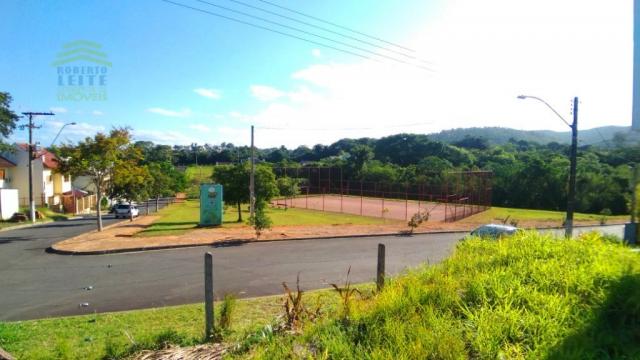 Terreno, Protásio Alves, Porto Alegre-RS - Foto 9