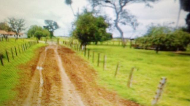 Fazenda 88 mil hectares de porteira fechada localizada na transpantaneira 220 km de Cuiabá - Foto 16