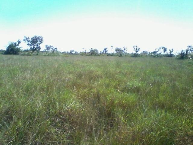 Fazenda em Luciara, MT - Foto 12