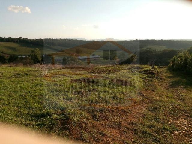 Haras para Venda, Tijucas do Sul / PR, bairro Pinhal, 8 dormitórios, 8 suítes, 1 banheiro - Foto 19