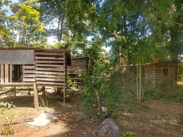 Vendo chácara por 50 mil ou troco por casa - Foto 10