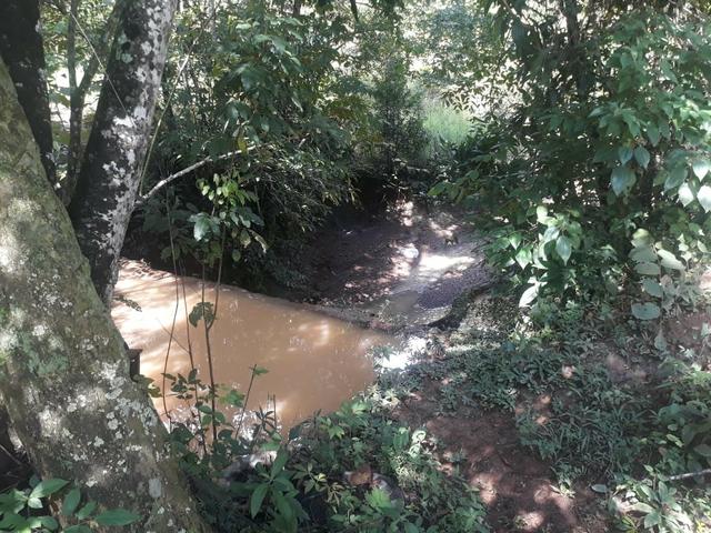 Vendo Chácara Escriturada de 2 hectares na Região do Novo Gama à 10 minutos do Lago Azul - Foto 4