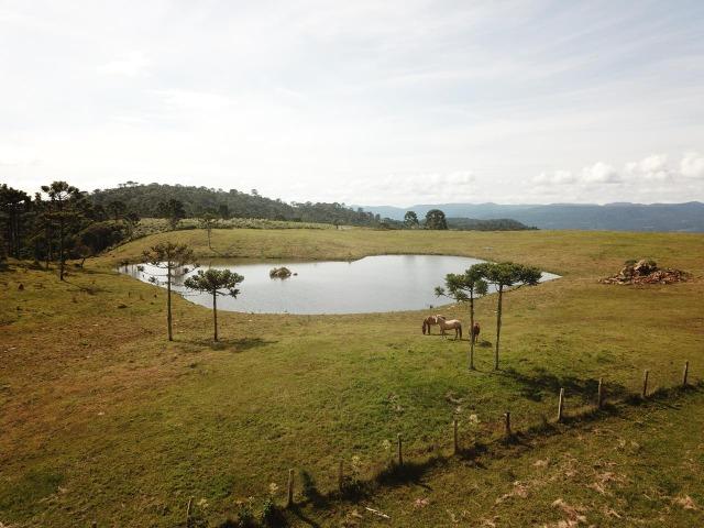 Terreno Urubici/ Chácara Urubici - Foto 4