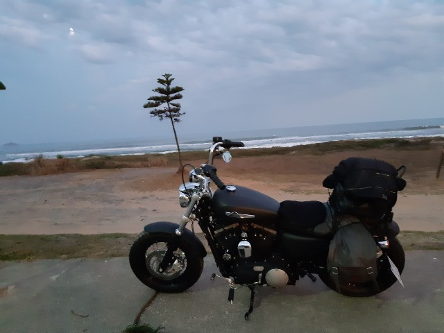 Harley Davidson 1200 - Foto 4