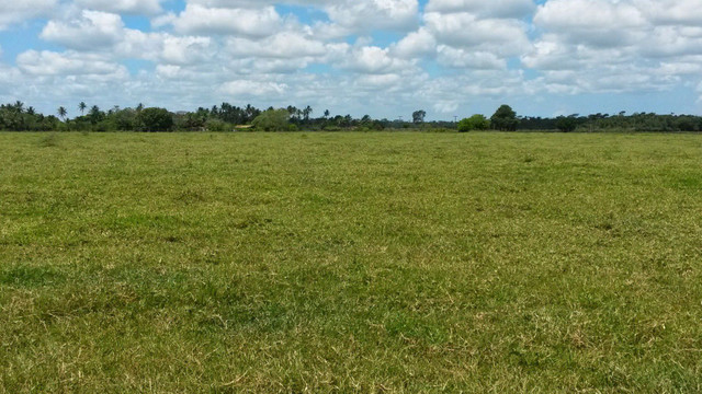 Terreno de 247895 m2 para logística, fabricas etc.