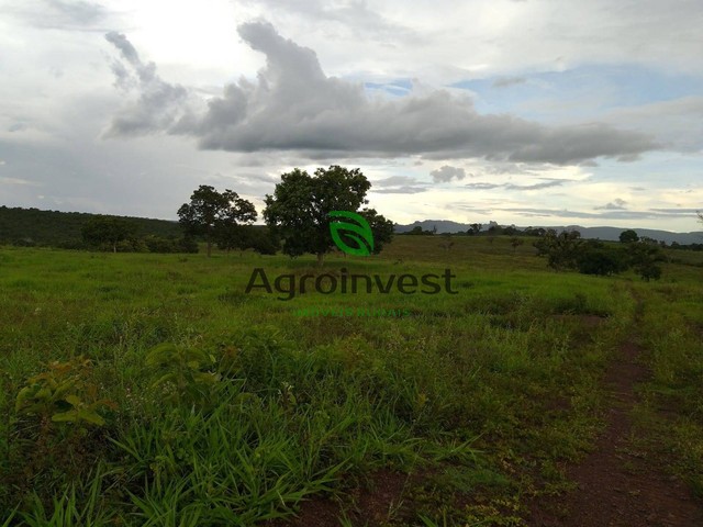 Fazenda Em Doverlândia Go Terrenos Sítios E Fazendas Doverlândia 1112669229 Olx 2882