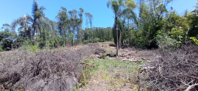 Chácara 1 hectare,com arroio e galpão e frutíferas - Foto 5