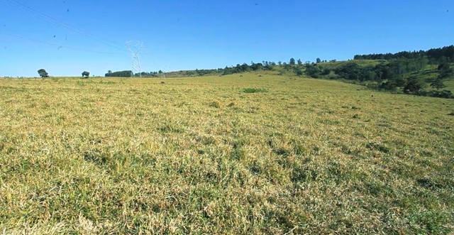 190.000.000         Vende-se 1.242 hectares - Foto 5