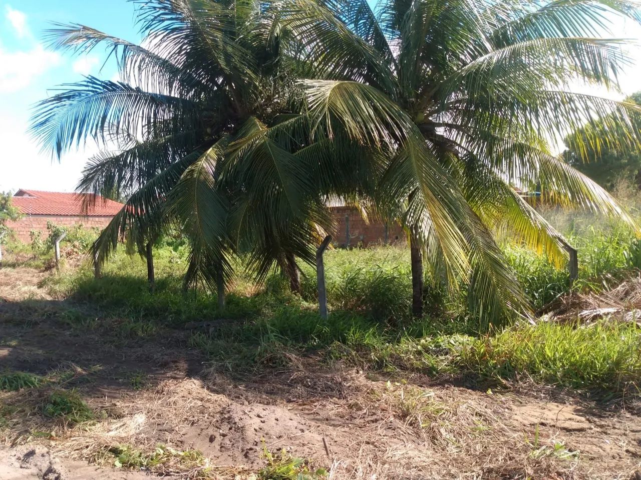 foto - João Pessoa - Cidade dos Colibris