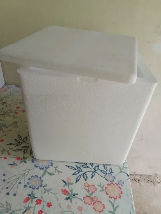Caixa de isopor 1 - Foto 6