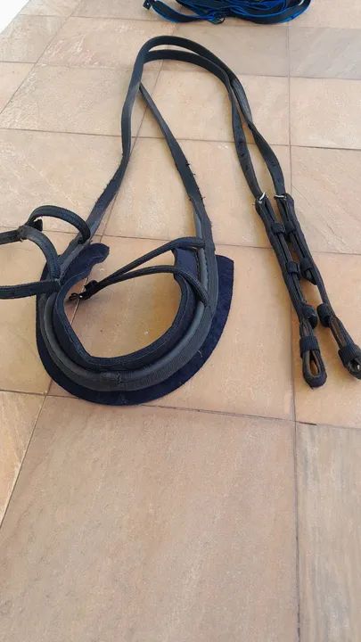 Charrete com arreio  - Foto 6