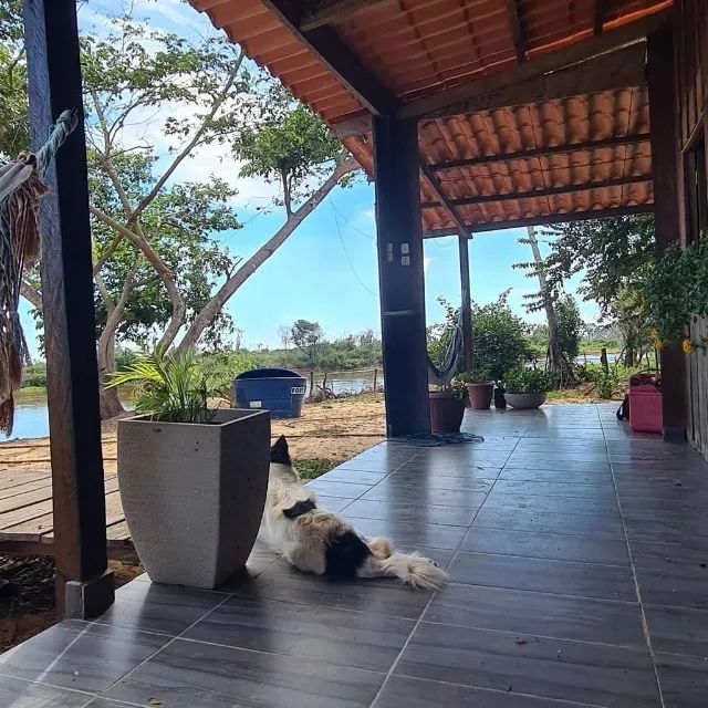Rancho Ginko Pantaneiro - Foto 2