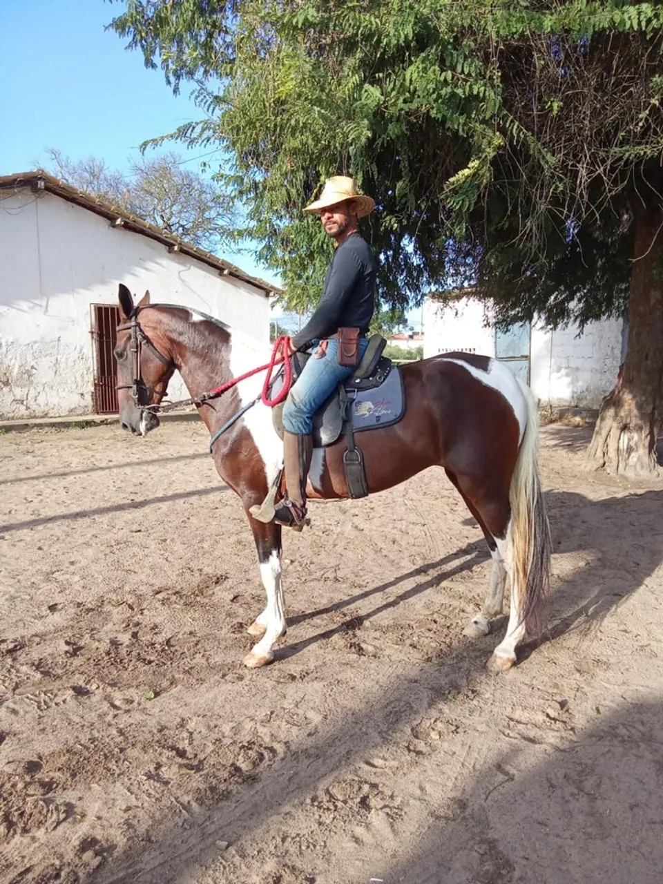 Égua topada de luxo!