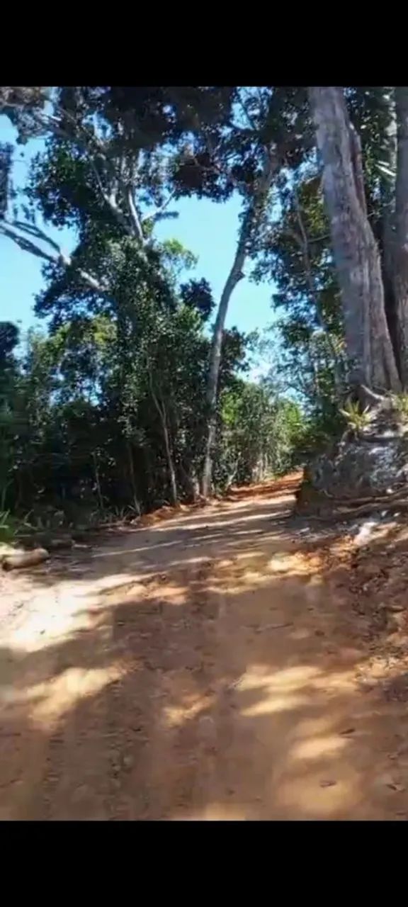 OPORTUNIDADE COMBINAÇÃO PERFEITA TERRENO EM SÍTIO E  PRAIA. APENAS 4KM DISTÂNCIA IMBASSAI, - Foto 12
