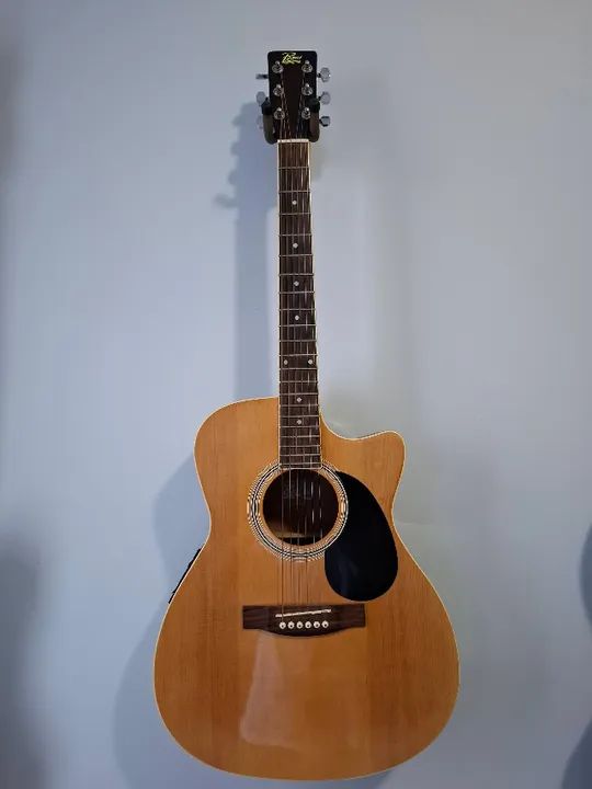 Violão Rogue Fishman RAGCEQ