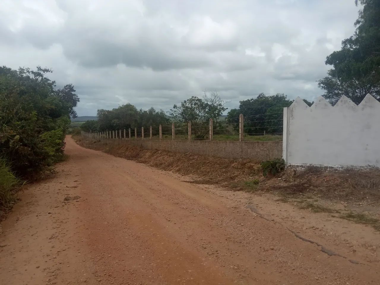 Fazendinha top! - Foto 3