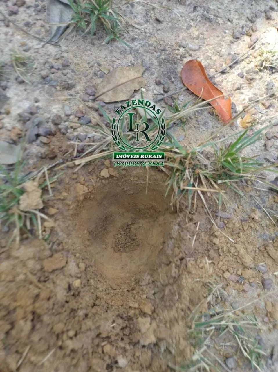 Fazenda 32 Alqueires ou seja 154 Hectares Dupla Aptidão - Foto 3