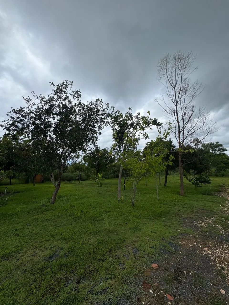 Casa Recanto Paraíso do Manso - Foto 3