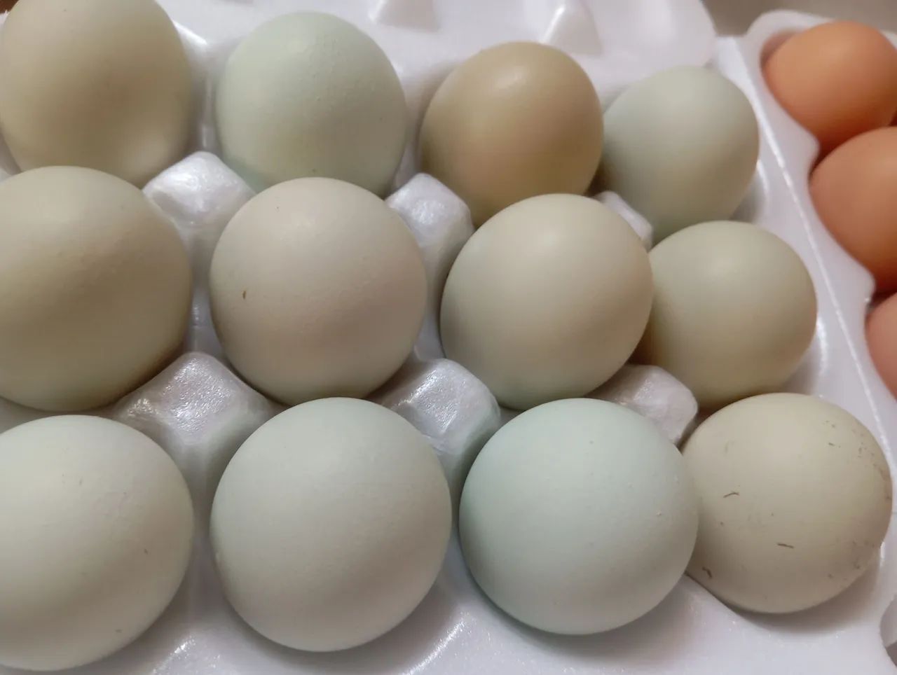 Vendo ovos atacado - Foto 3