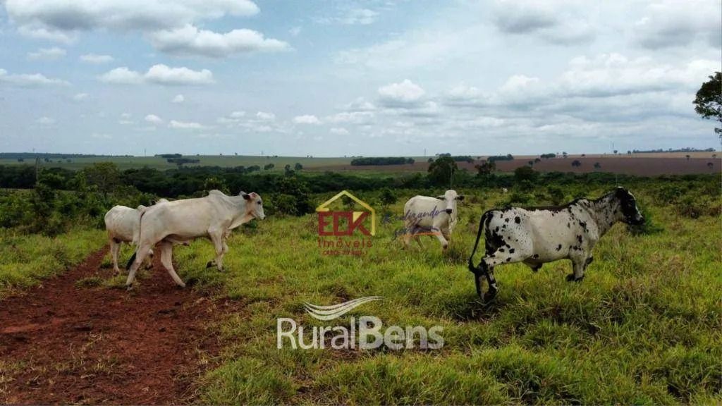 Fazenda com 5 dormitórios à venda, 11186200 m² por R$ 22.000.000,00 - Centro - Camapuã/MS - Foto 3