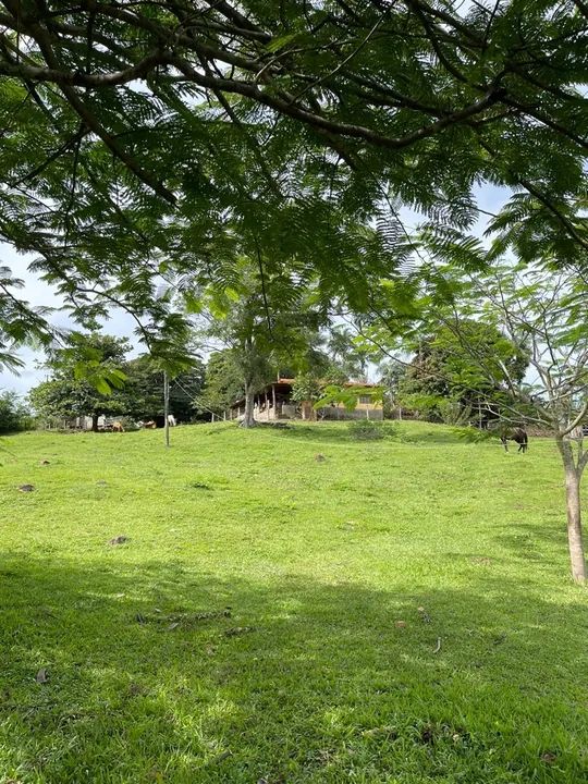 Sítio em cascalho rico  - Foto 4