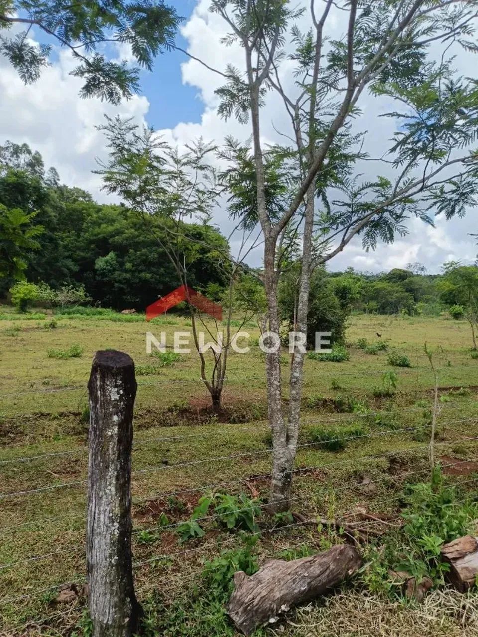 Chácara em São Miguel do Iguaçu - Serra do Mico - São Miguel do Iguaçu/PR - Foto 5