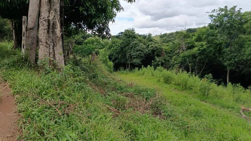 Ótimo sítio venda em São João Nepomuceno MG.  - Foto 5