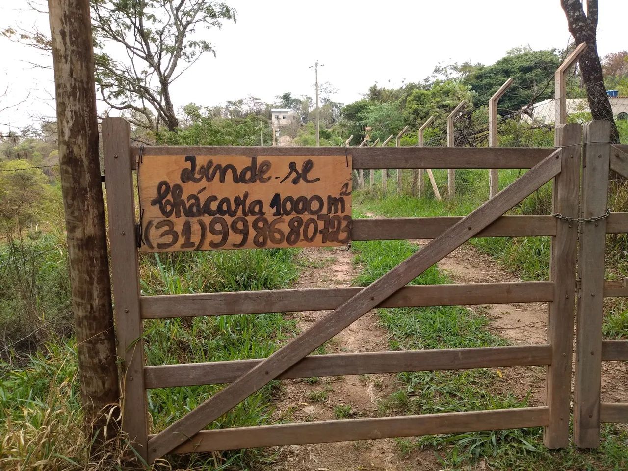 foto - Belo Horizonte - Aparecida Sétima Seção