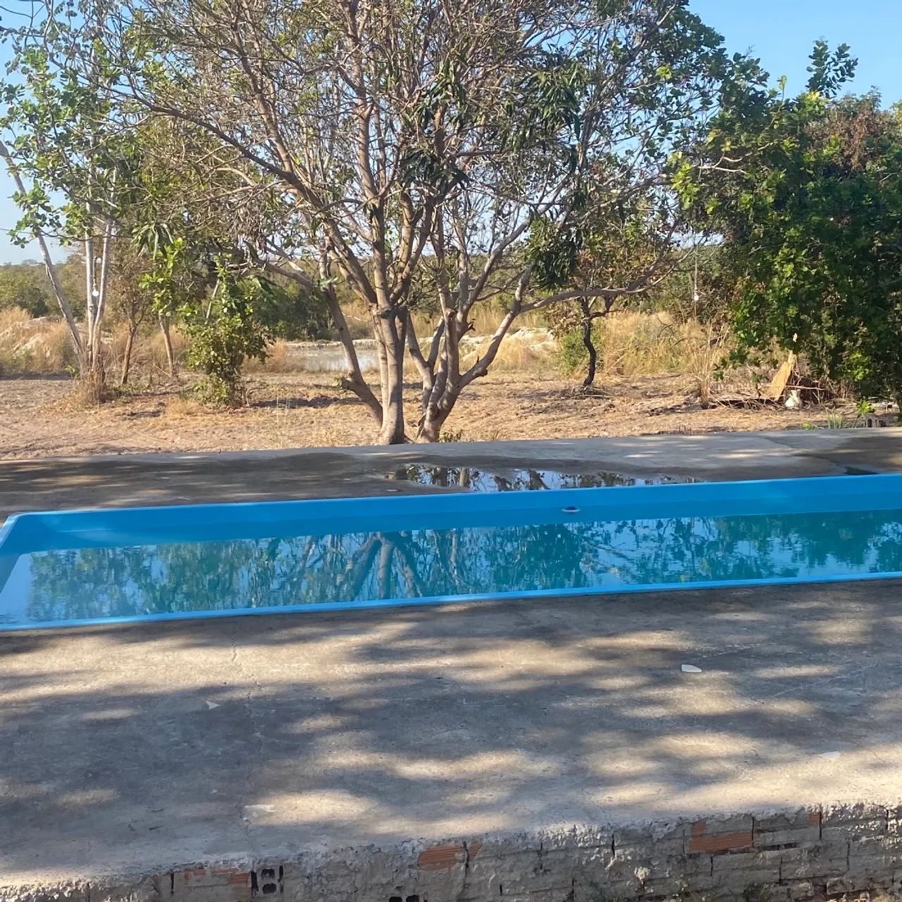     Sítio a 45 minutos do trevo do lagarto Sítio com represa grande e piscina  - Foto 4