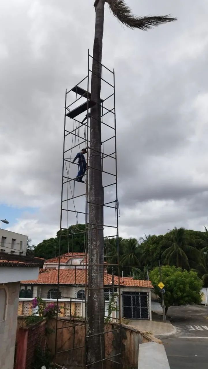 Poda de árvores , jardinagem em geral - Foto 3