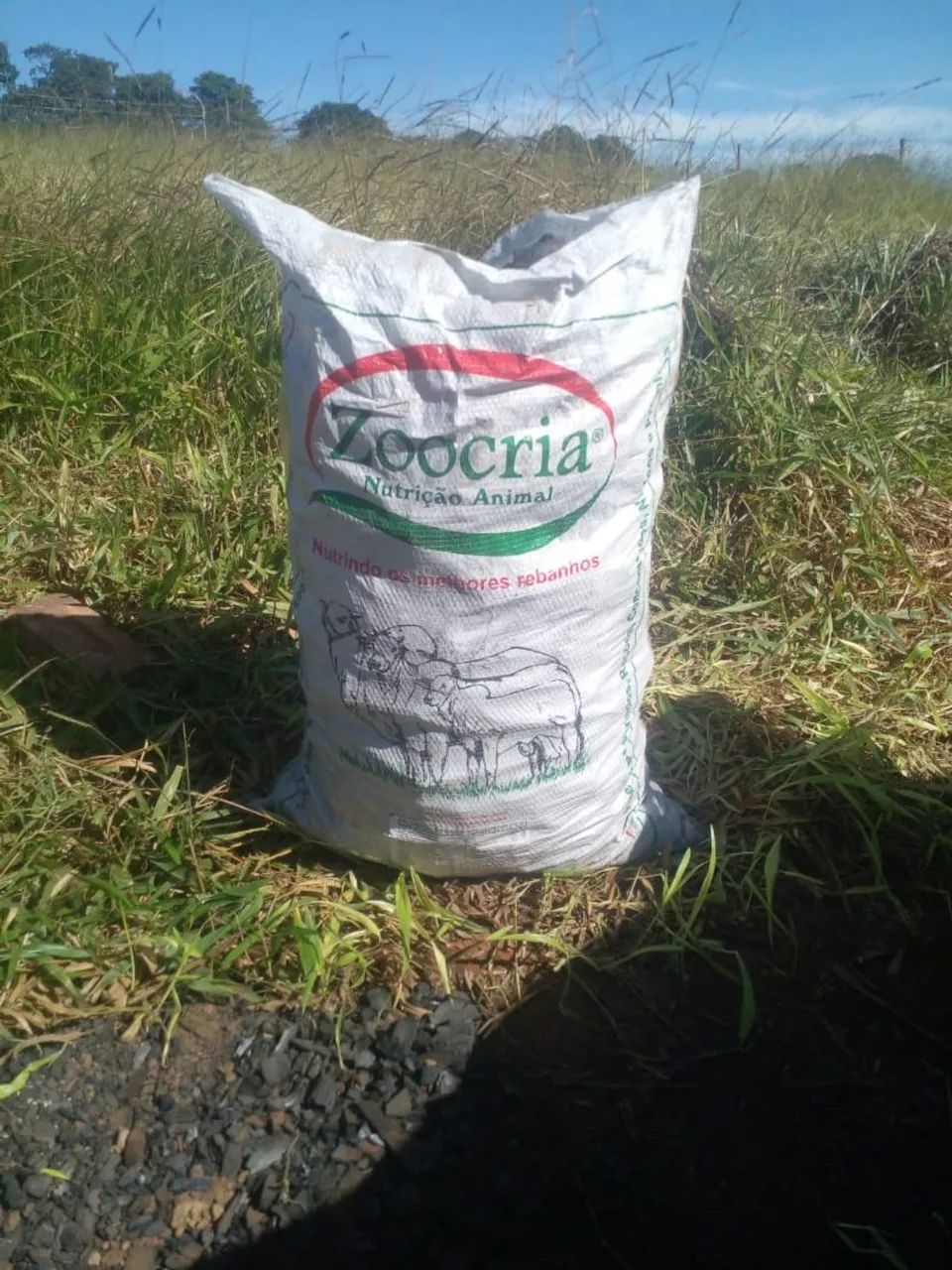  carvão média 23kg  24 kg